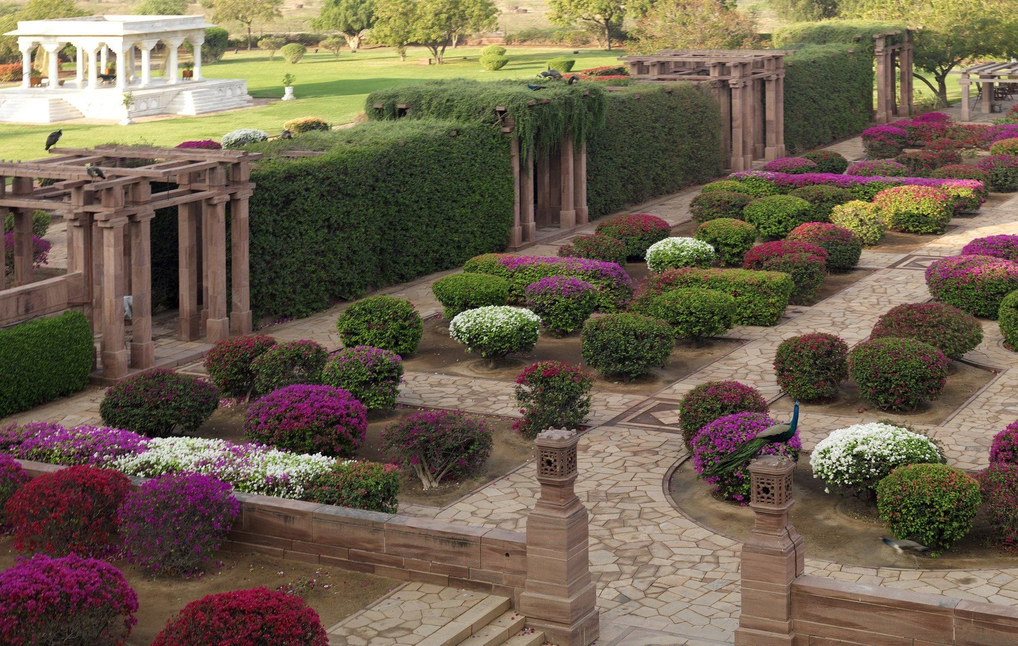 Umaid Bhawan Palace Jodhpur Τζοντχπούρ Ανέσεις φωτογραφία